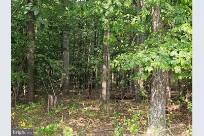 4169 Mountain Road, Haymarket, VA 20169 - Photo 1