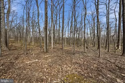 2412 Mountain Road, Haymarket, VA 20169 - Photo 1