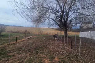 3190 Legion Way, Broadway, VA 22815 - Photo 41