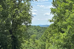 59 Hungry Horse Ln, Sperryville, VA 22740 - Photo 1