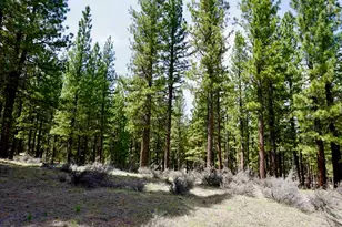 77 Cody Dr, Clio, CA 96106 - Photo 1