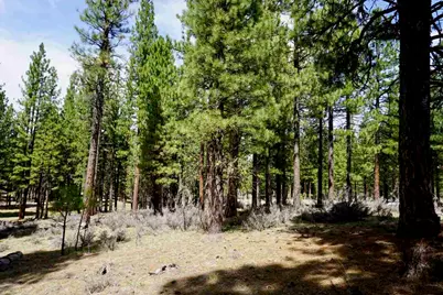 77 Cody Drive, Clio, CA 96106 - Photo 7