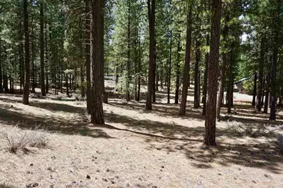 77 Cody Drive, Clio, CA 96106 - Photo 5