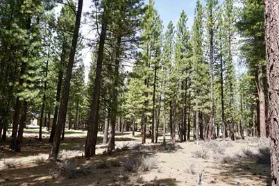 77 Cody Drive, Clio, CA 96106 - Photo 13