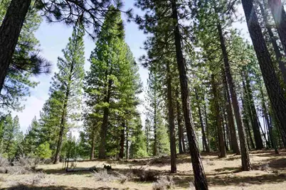 77 Cody Drive, Clio, CA 96106 - Photo 11