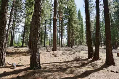 77 Cody Drive, Clio, CA 96106 - Photo 17