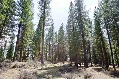 77 Cody Drive, Clio, CA 96106 - Photo 15