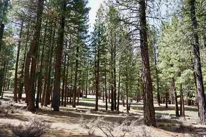 77 Cody Drive, Clio, CA 96106 - Photo 19