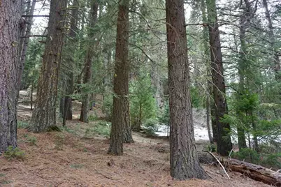 6 Pine Tree Court #2, Blairsden, CA 96103 - Photo 3