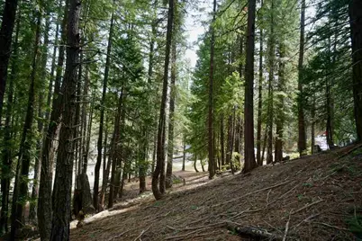 6 Pine Tree Court #2, Blairsden, CA 96103 - Photo 13