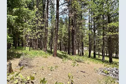 247 Gold Nugget Lane, Graeagle, CA 96103 - Photo 15