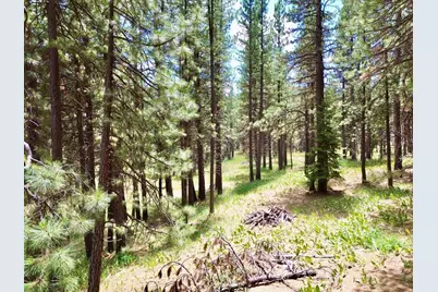247 Gold Nugget Lane, Graeagle, CA 96103 - Photo 11