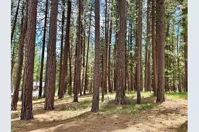 247 Gold Nugget Lane, Graeagle, CA 96103 - Photo 17
