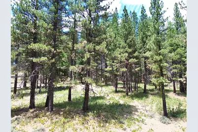 247 Gold Nugget Lane, Graeagle, CA 96103 - Photo 13