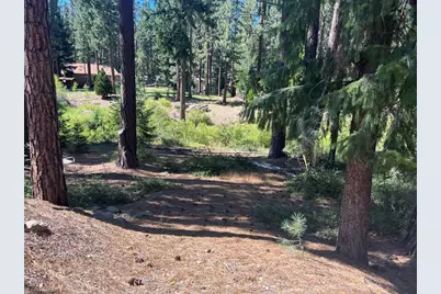 392 Sequoia Circle, Blairsden, CA 96103 - Photo 7