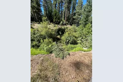 392 Sequoia Circle, Blairsden, CA 96103 - Photo 15