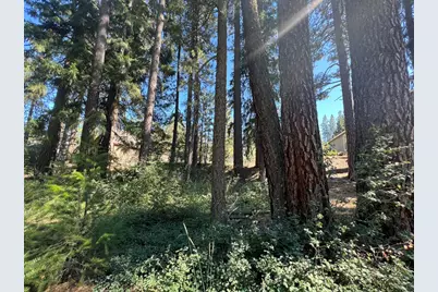 392 Sequoia Circle, Blairsden, CA 96103 - Photo 17
