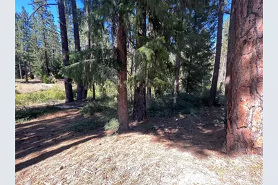 392 Sequoia Circle, Blairsden, CA 96103 - Photo 9