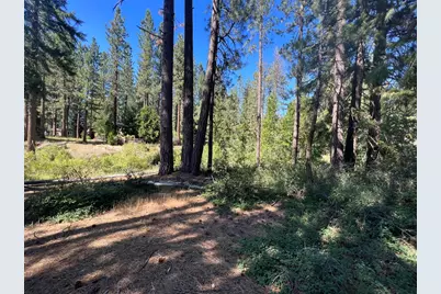 392 Sequoia Circle, Blairsden, CA 96103 - Photo 1