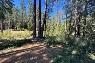 392 Sequoia Cir, Blairsden, CA 96103 - Photo 1