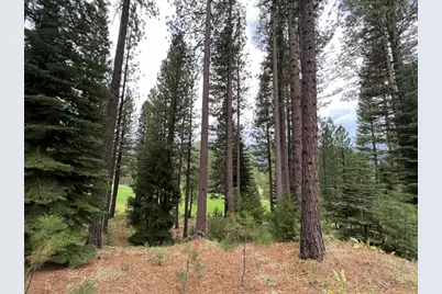 180 Saddle Ridge Road, Clio, CA 96106 - Photo 11