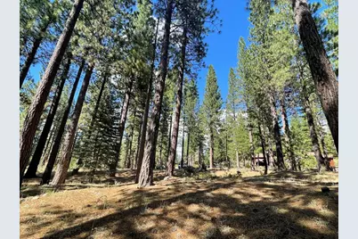 180 Saddle Ridge Road, Clio, CA 96106 - Photo 7