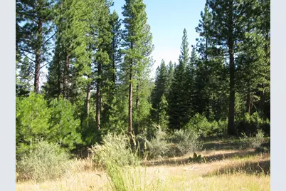 180 Saddle Ridge Road, Clio, CA 96106 - Photo 23