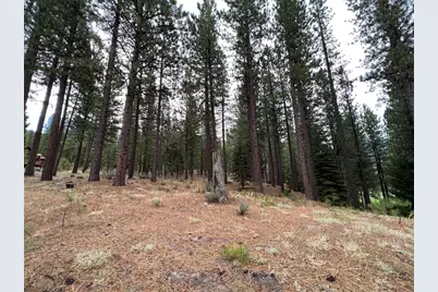 180 Saddle Ridge Road, Clio, CA 96106 - Photo 13