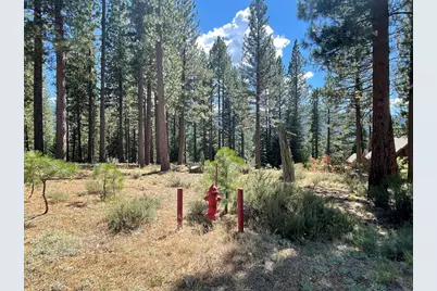 180 Saddle Ridge Road, Clio, CA 96106 - Photo 9