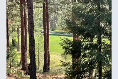 180 Saddle Ridge Road, Clio, CA 96106 - Photo 3