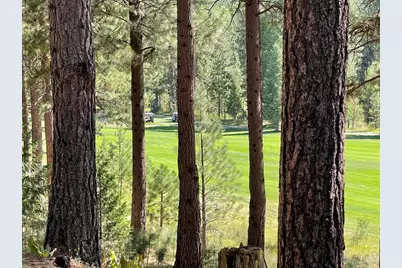 180 Saddle Ridge Road, Clio, CA 96106 - Photo 5