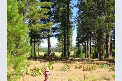 180 Saddle Ridge Road, Clio, CA 96106 - Photo 27
