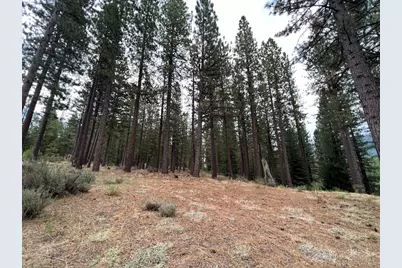 180 Saddle Ridge Road, Clio, CA 96106 - Photo 17