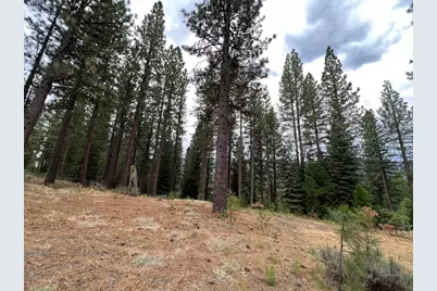 180 Saddle Ridge Road, Clio, CA 96106 - Photo 15