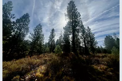 1121 Great Spirit, Portola, CA 96122 - Photo 3
