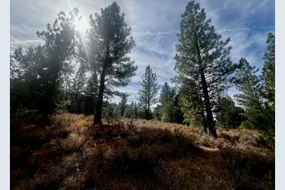 1121 Great Spirit, Portola, CA 96122 - Photo 13