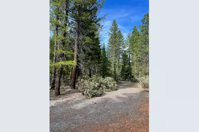 876 Blue Knoll Road, Greenville, CA 95947 - Photo 15