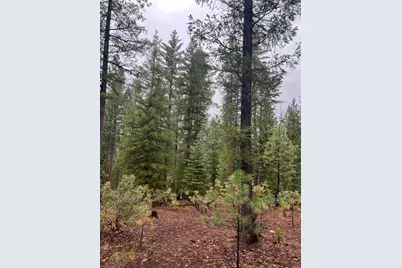 876 Blue Knoll Road, Greenville, CA 95947 - Photo 19