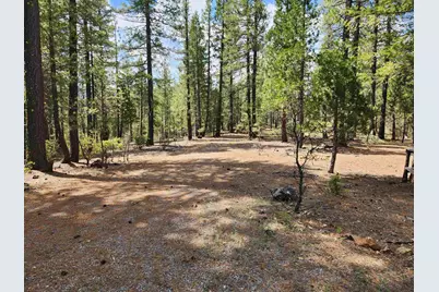 876 Blue Knoll Road, Greenville, CA 95947 - Photo 1