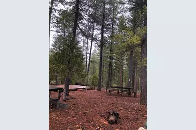876 Blue Knoll Road, Greenville, CA 95947 - Photo 17