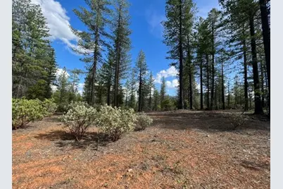 876 Blue Knoll Road, Greenville, CA 95947 - Photo 11