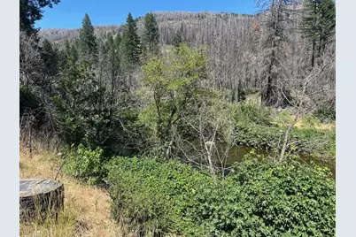 5680 Seneca Road, Seneca, CA 95923 - Photo 3