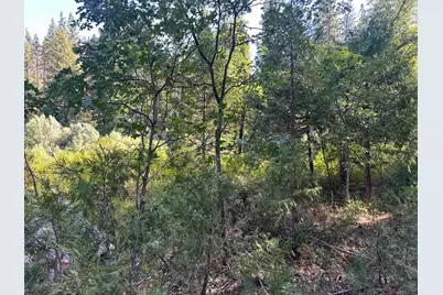 187 Riverview Lane, Twain, CA 95984 - Photo 27