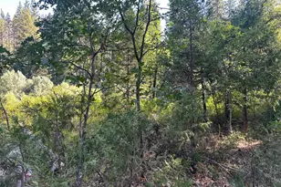 187 Riverview Ln, Twain, CA 95984 - Photo 27