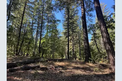 187 Riverview Lane, Twain, CA 95984 - Photo 23