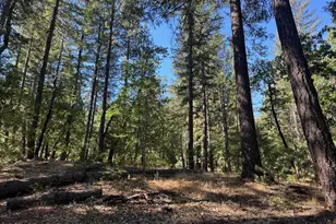 187 Riverview Ln, Twain, CA 95984 - Photo 23