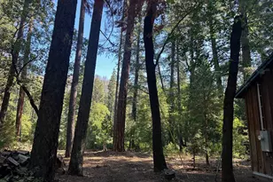 187 Riverview Ln, Twain, CA 95984 - Photo 21