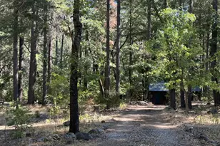 187 Riverview Ln, Twain, CA 95984 - Photo 29