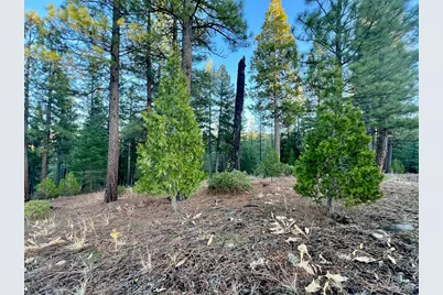 501 Red Sky #9, Portola, CA 96122 - Photo 13
