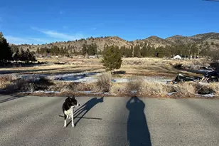 12 Wrangler Trail, Loyalton, CA 96118 - Photo 1